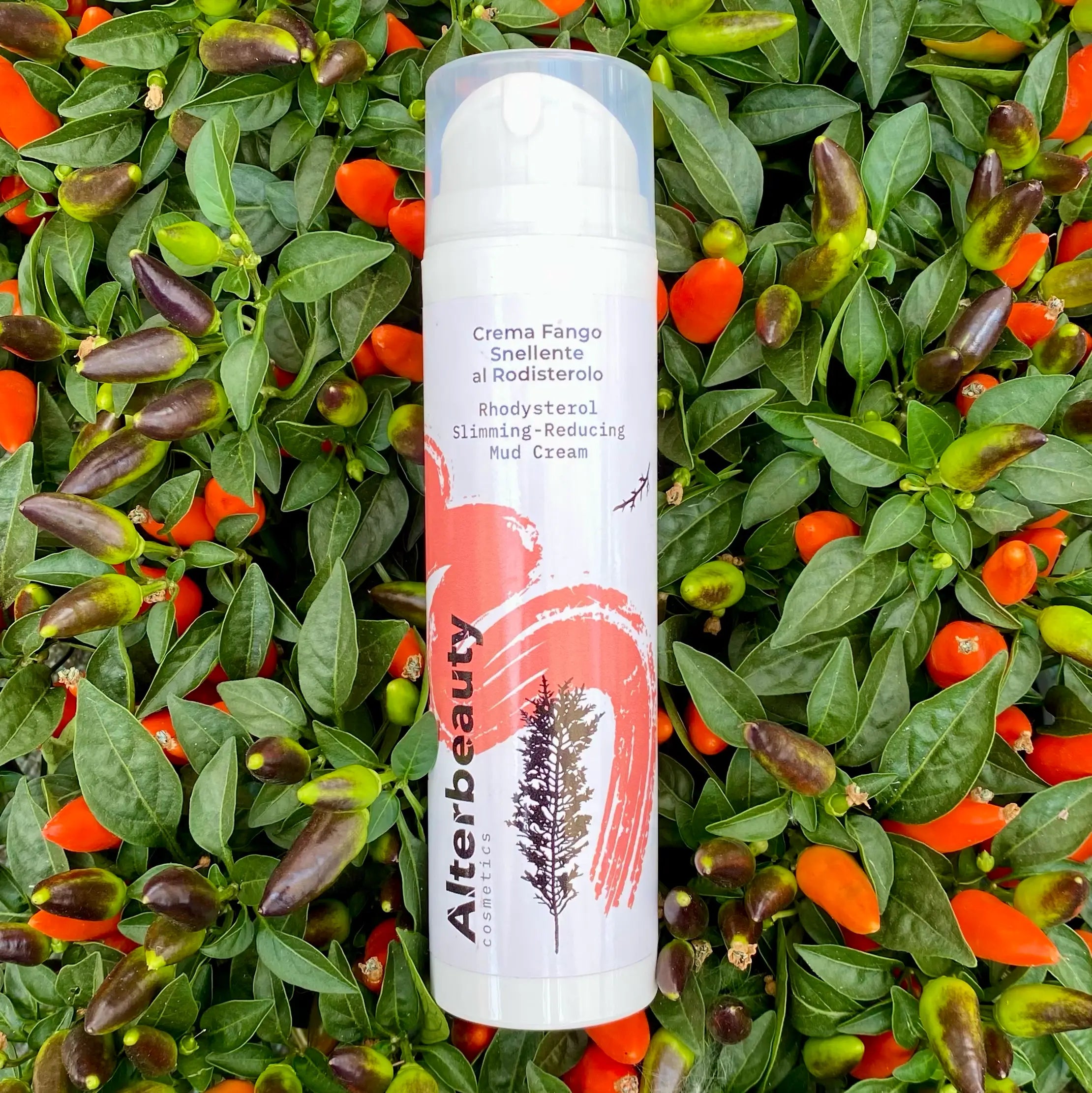 Crema Fango Snellente al Rodisterolo